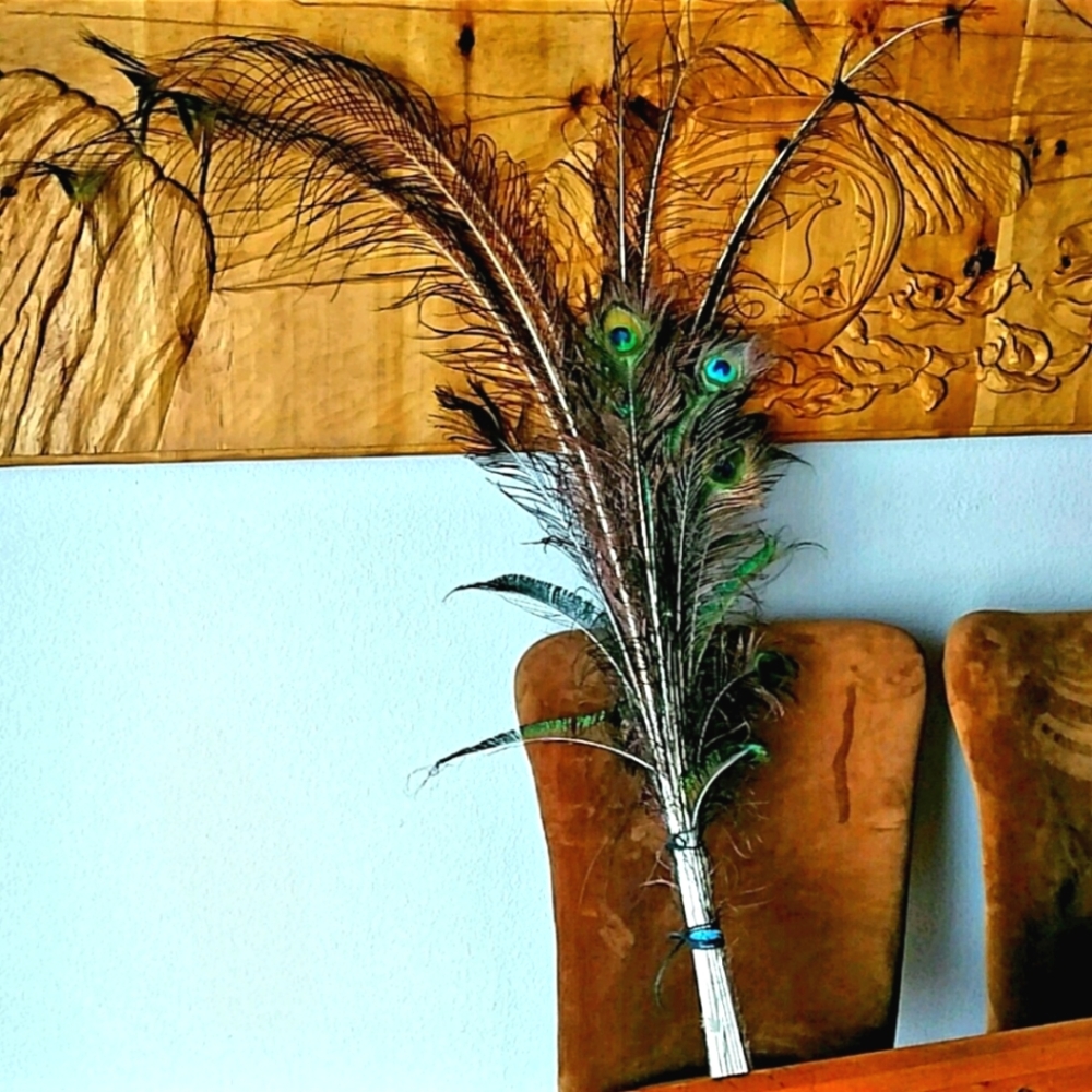 Gorgeous Peacock Feathers Up to 54"